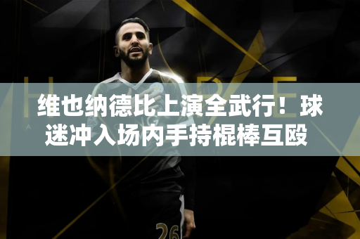 维也纳德比上演全武行！球迷冲入场内手持棍棒互殴 警察介入才得以平息