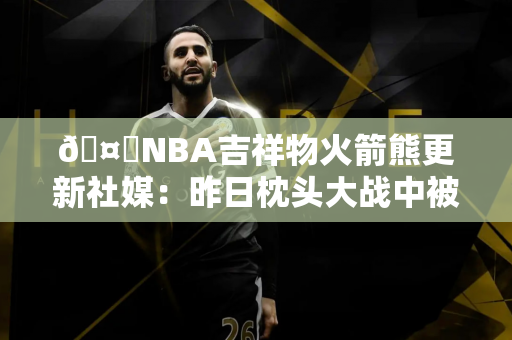 🤕NBA吉祥物火箭熊更新社媒：昨日枕头大战中被狄龙打出脑震荡 将缺席2-4周